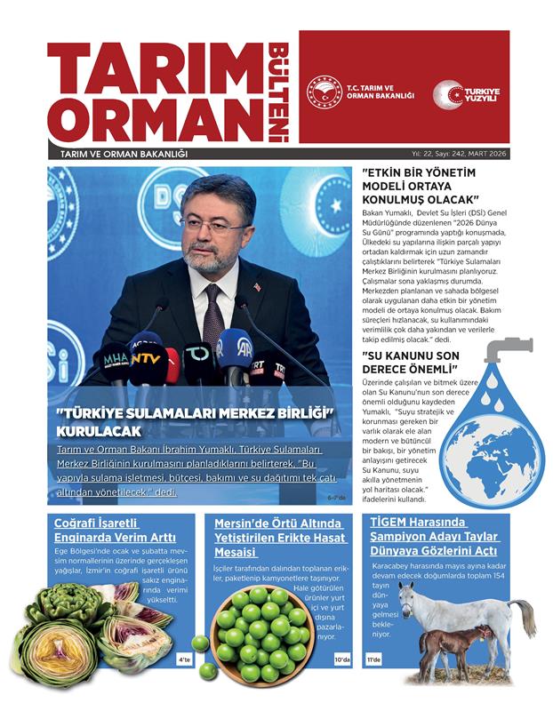 kapak
